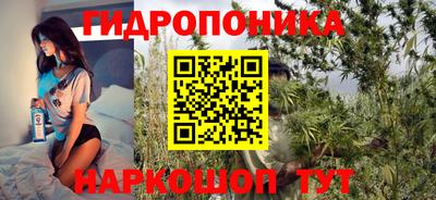 стаф Нальчик