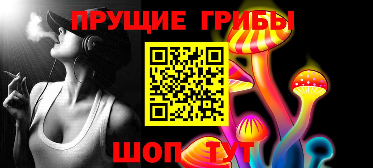 Псилоцибиновые грибы мицелий  Псилоцибиновые грибы Psilocybine cubensis  Сергиев Посад  Вход с VPN 